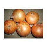 Yellow New Crop Fresh Onions Specification 5cm - 7cm , 7cm - 9cm