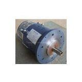 DC Traction Motor for Golf Car & Site-seeing Car thumbnail-1