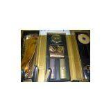 2010 CHI Gold Hair Straightener