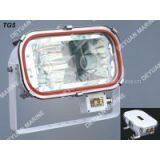 TG5 Flood Light