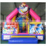 2017 Aier Nice and Cheap Giant Inflatable Slide for Sale/Princess Themed Inflatable Pool Slide/slide Inflatable thumbnail-1