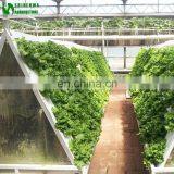 Agricultural Greenhouse Wall Hydroponic Growing Systems thumbnail-3