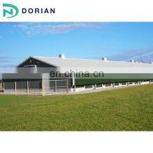 Used Steel Frame Chicken Shed Poultry Farming House Design thumbnail-3