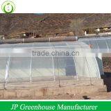 Cold Frame Greenhouse thumbnail-2