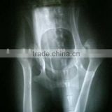 used medical x-ray equipment,fuji x-ray film from china factory, film dt2b,x-ray blue film of alibaba supplier