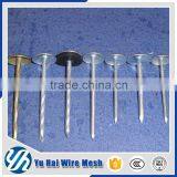 China Umbrella Head Roofing Nailsdirect From Factory Supplier's Choice thumbnail-3