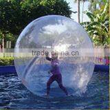 Giant Human Sized Hamster Ball thumbnail-2