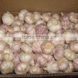 2016 Garlic 4.5cm-6.5cm Garlic Price Garlic Supplier thumbnail-3