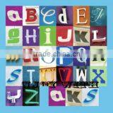 Custom iron on offset transfer printing press on shoes.