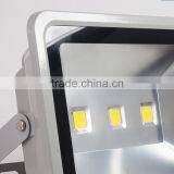 High Output FACtory Direct Sale 100W 50W Led Flood Light IP65 thumbnail-4