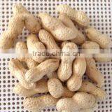 Chinese Roasted Salted Peanut Kernels for Hot Sale