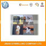 100% Cotton Linen Custom Printed Colorful Design Photo Print Cushion Cover thumbnail-6