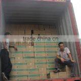 Starting Fluid 450ML/220ML thumbnail-3