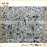 Frozen Squid Beak - Ommastrephes Bartrami thumbnail-3