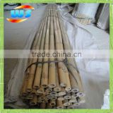 bamboo cane for support plants