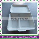 100% compostable Sugarcane pulp food container