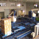 Robot Palletizing Machine thumbnail-2