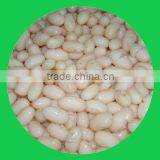 Canned White Kidney Beans in Brine 425ml