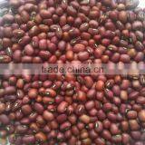 High Quality Red Bean From Vietnam With Best Price thumbnail-1
