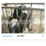 Cow Freestall Barn Galvanized Fence Panels thumbnail-5