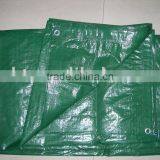 PE Tarpaulin thumbnail-1