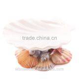 Ocean Series Shell Design Bathroom Accessory Set thumbnail-4