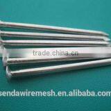 Common Nails thumbnail-1