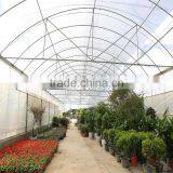 Multi Span Vegetable Commercial Greenhouse Covered By Polythene Film thumbnail-5