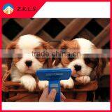 Ideal Pet Accessory For Dogs And Pets Cleaning Hair Brush thumbnail-1