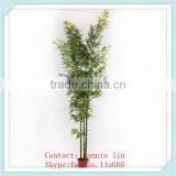 LF091513- Wholesale Artificial Bamboo Plant/chinese Handmade Lucky Bamboo