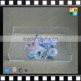 Custom Acrylic Food Drink Serving Tray Home Decorative Plexiglass Tray thumbnail-1