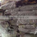 peru squid Processing section