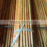 Varnished Wooden Broom Handle/Vanished Wooden Broom Stick thumbnail-1