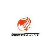 Master Auotmobile Technology co.,ltd