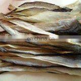 2019 New Tilapia Fish Skin Peeling Machine Fish Gut Fish Meat Skin Separator From China Factory thumbnail-4