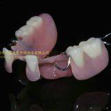 Dental Partial Acrylic Denture, Complete Denture, Full Dental Dentures, Laboratoire Dentaire, Dentallabor, Laboratorio Dental, Dental Laboratory, Shenzhen LJ Dental Lab China thumbnail-3