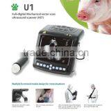 Full digital ultrasound scanner for animals