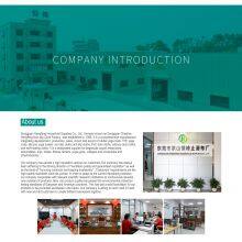 Dongguan Hengfeng Household Supplies Co., Ltd. company overview - view 1 thumbnail