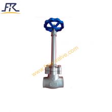 Cryogenic Gas Control Valve Extended Stem Globe Valve for LNG Lox Lin Lco2 Application