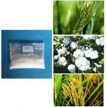 Plant Rooting Hormone Auxin Naa 1-Naphthylacetic Acid 98%TC thumbnail-2