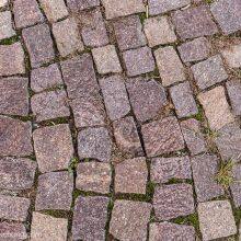Paving Stone thumbnail-2