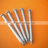 Galvanized Concrete Nail