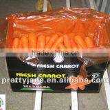 Chinese Fresh Carrot thumbnail-1