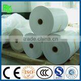 Food Grade Single PE Coated Paper for Cup