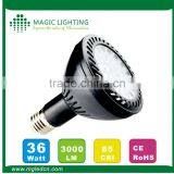 Chinese PAR30 36W COB 30w Zhongshan Guzhen Down Light Led for Home thumbnail-6