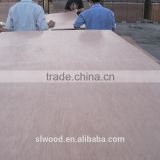 Commercial plywood with good price