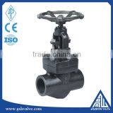 Forged Steel Socket Welded Globe Valve With Competitive Price