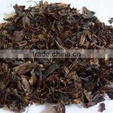 Cao Shan Hu Sarcandra glabra (Thunb.) Nakai dry whole herbs herb stem