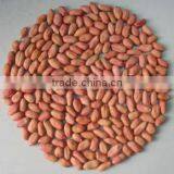 2013 brandnew harvest great peanut for oversea needed