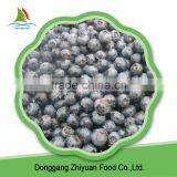 2016 New Season Frozen Blueberry Prices thumbnail-5